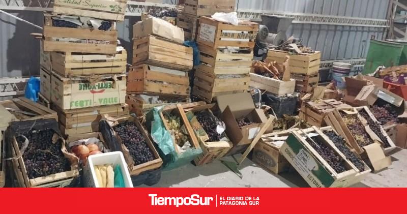 Evitaron el ingreso a la Patagonia de 1.430 kg de productos hospederos de moscas de la fruta