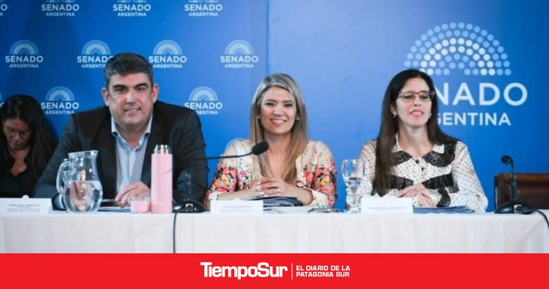 Salud pide al Senado aprobar cambios que habilitan internaciones involuntarias