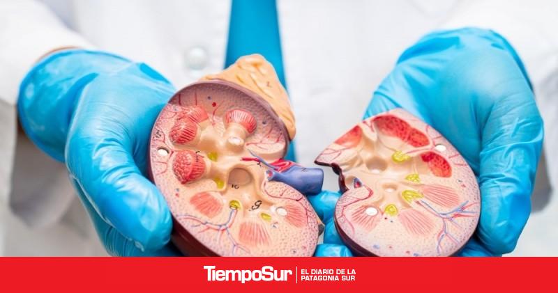 Cáncer y la enfermedad renal crónica en el sistema nacional de vigilancia epidemiológica