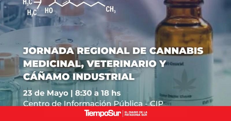 Comodoro recibirá una cumbre regional sobre uso medicinal e industrial