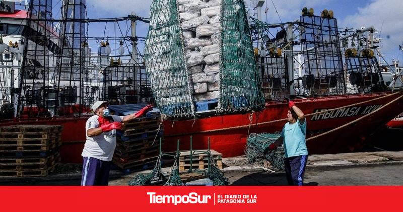La zafra de calamar se despide con un balance histórico