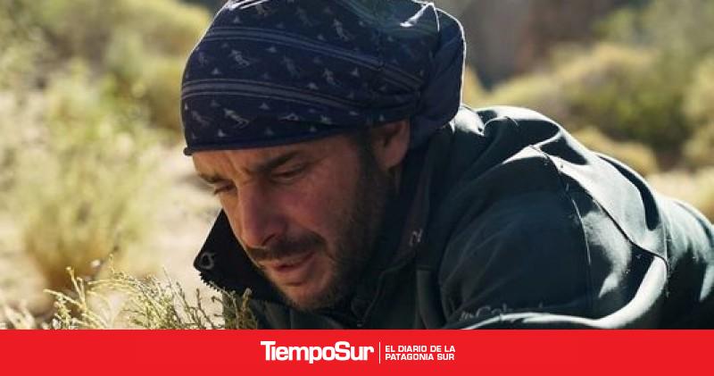 Avistaje de un puma en Río Gallegos