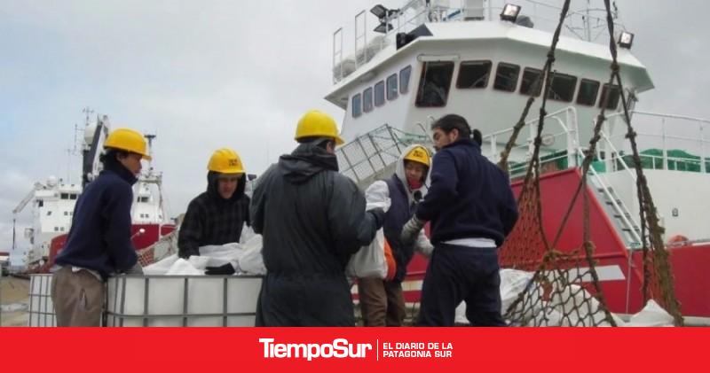 Pesca de calamar en Malvinas genera pérdidas millonarias para Argentina