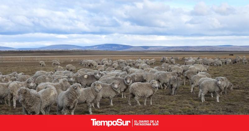 Acuerdos para la conservación de la biodiversidad esteparia y ganadería regenerativa