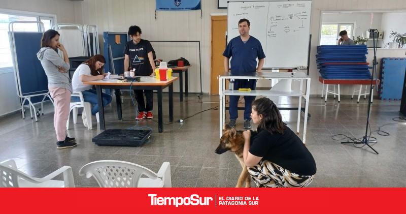 Puerto Santa Cruz trabaja en una nueva campaña de castración masiva