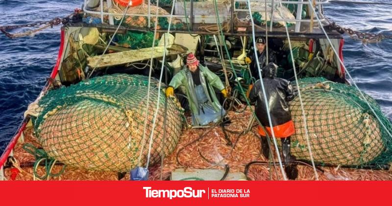 Santa Cruz se prepara para una nueva zafra de langostino