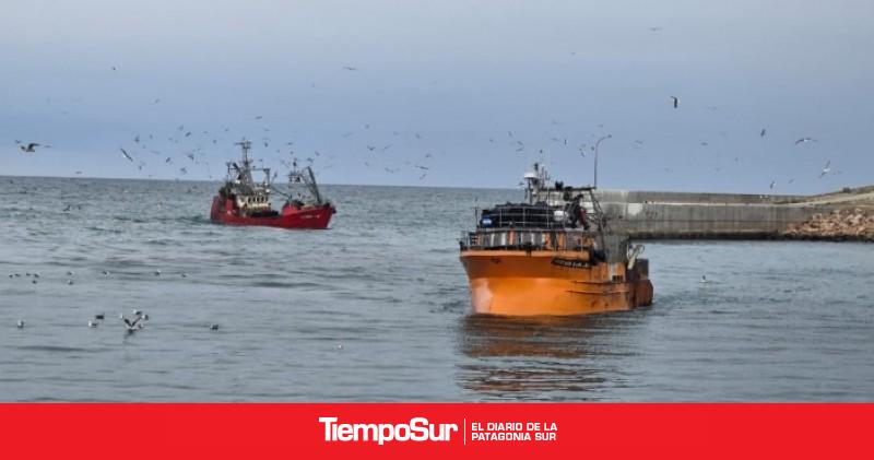Autorizan la pesca experimental de sardina en Santa Cruz