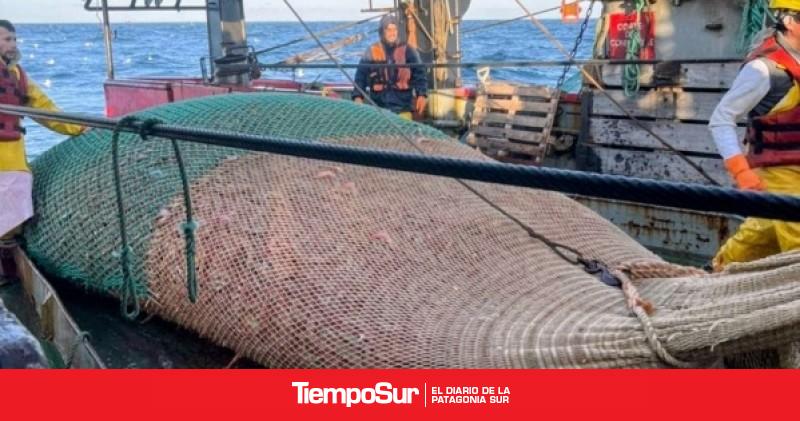 Santa Cruz suma observadores provinciales a la prospección de langostino
