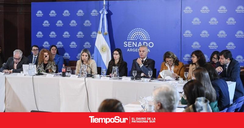 Continúa el debate sobre la modificación de la Ley de Salud Mental en el Senado