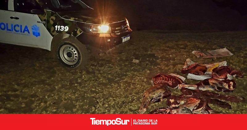 Puerto Deseado: Escaparon en moto y los detuvieron con una yegua recién faenada
