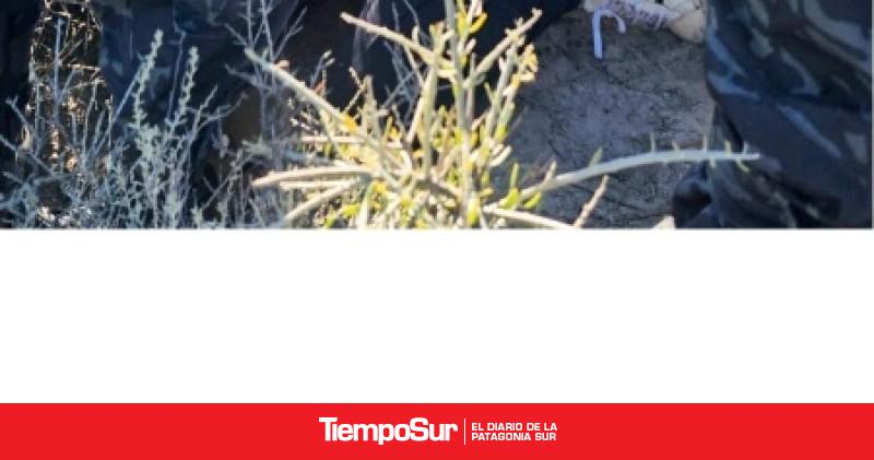 Rawson: La Policía de Chubut recapturó a un peligroso delincuente evadido de la U6