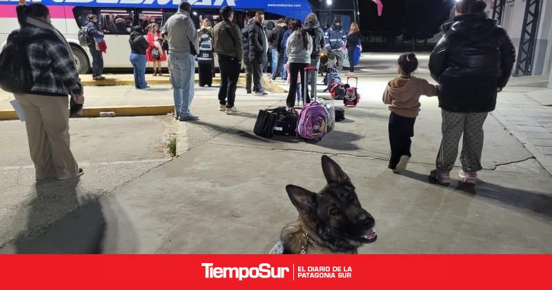 Amplio operativo terminó con secuestros, infracciones y una averiguación de paradero