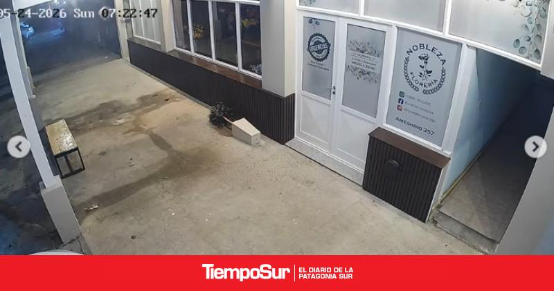 Destrozan un maceta de la florería Nobleza