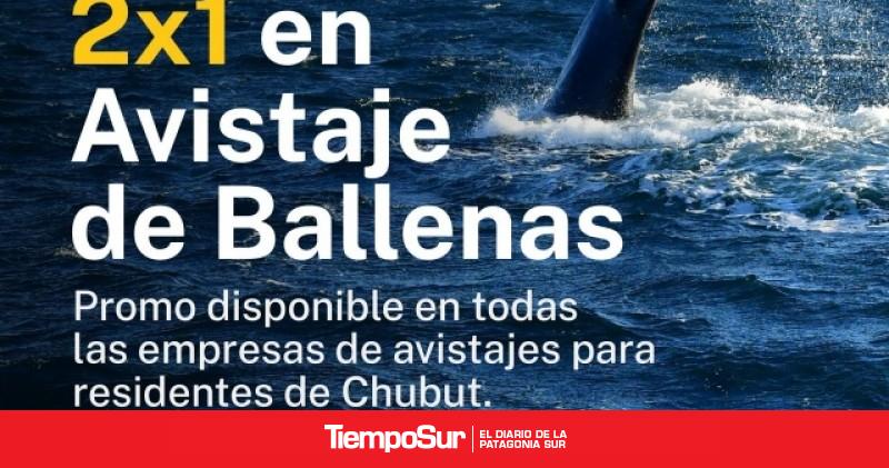 Chubut lanza la temporada de ballenas con tarifas congeladas y beneficios