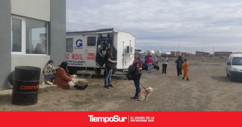 El castramóvil llega al CENIN Nº 7 para acercar castraciones