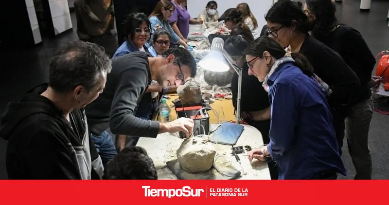 Fundación Williams brindó un valioso espacio de formación en el Museo Padre Molina