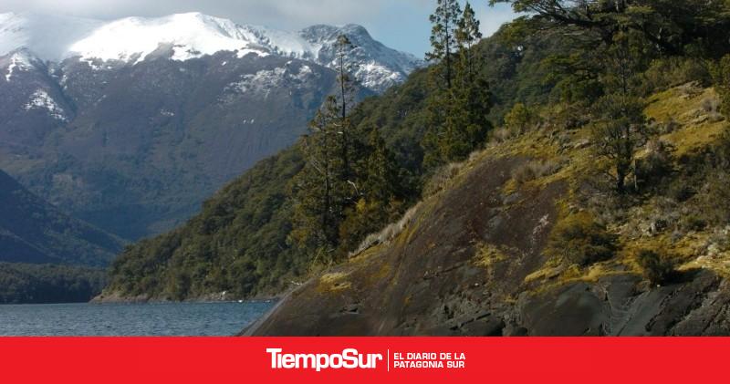 Ley de Bosques: abren convocatoria para financiar proyectos