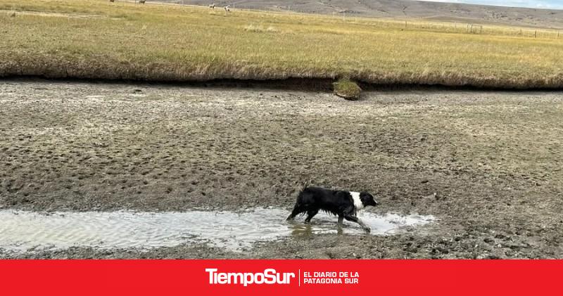Emergencia agropecuaria por sequía y fuertes vientos en Santa Cruz y Chubut