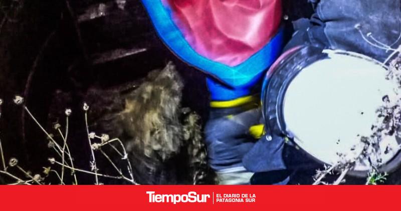 El Grupo Especial rescató a un perro que cayó a un pozo profundo