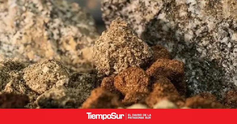 Impulsan un debate estratégico sobre tierras raras y su rol en la minería del futuro