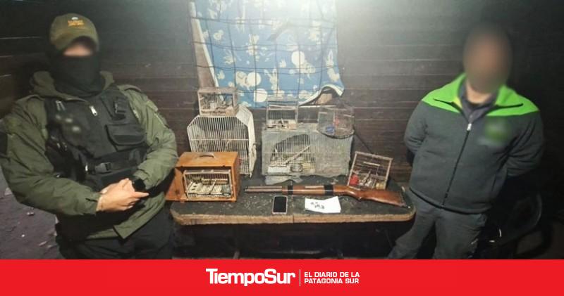 Gendarmería desarticuló una banda que vendía fauna silvestre por redes sociales
