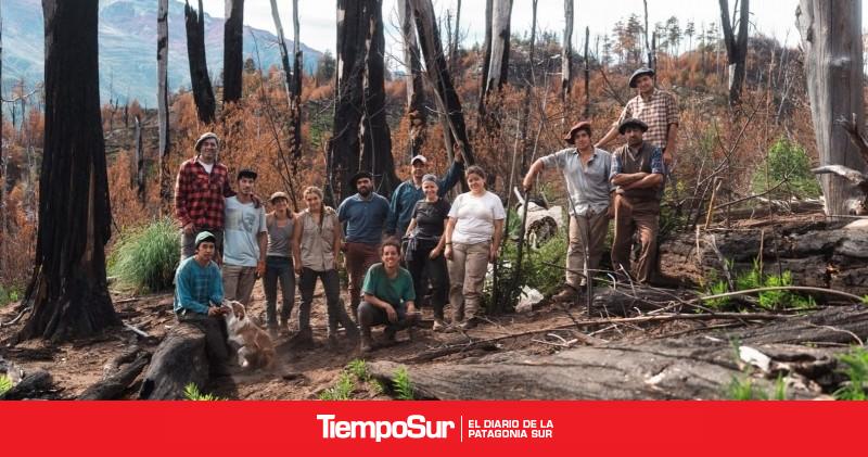 Chubut plantó 20.000 árboles nativos en la Reserva Provincial Río Turbio