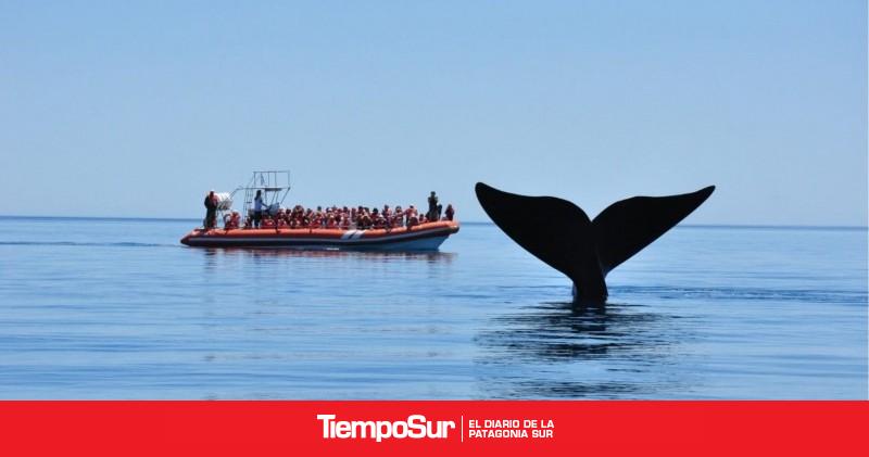 Puerto Pirámides quedó seleccionada entre los mejores pueblos del mundo
