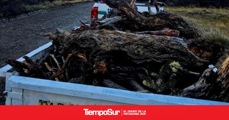 Parques Nacionales ejecutará una quema controlada en el norte de Los Glaciares