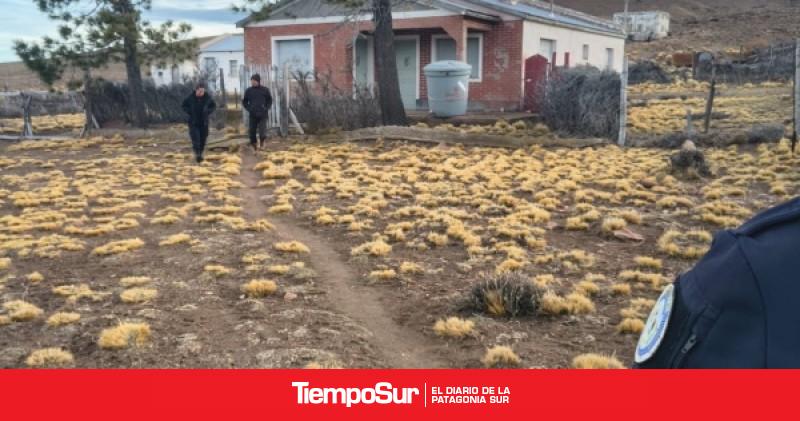 División Trata de personas realizó controles en estancias