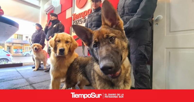 La División Canes de la Policía Provincial presentó su trabajo de adiestramiento en Río Gallegos