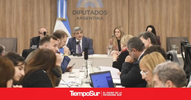 Diputados inició el debate sobre la regulación de las plataformas sociales y la protección a menores