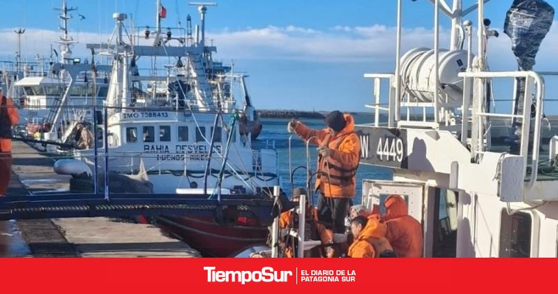 Continúan con éxito las descargas de langostino en Puerto Deseado