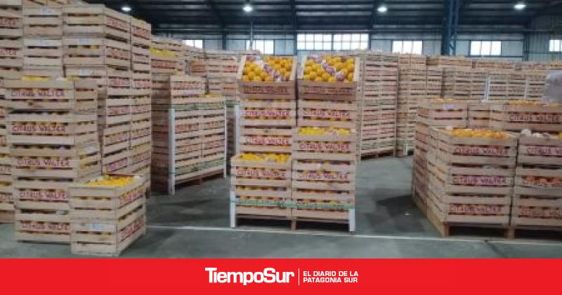 Mercado Concentrador: Descuentos de hasta el 40% en el Hot Sale de este jueves