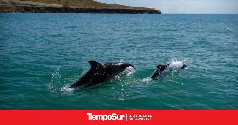 Día de los Océanos: por qué se celebra el 8 de junio en la Argentina y en el mundo