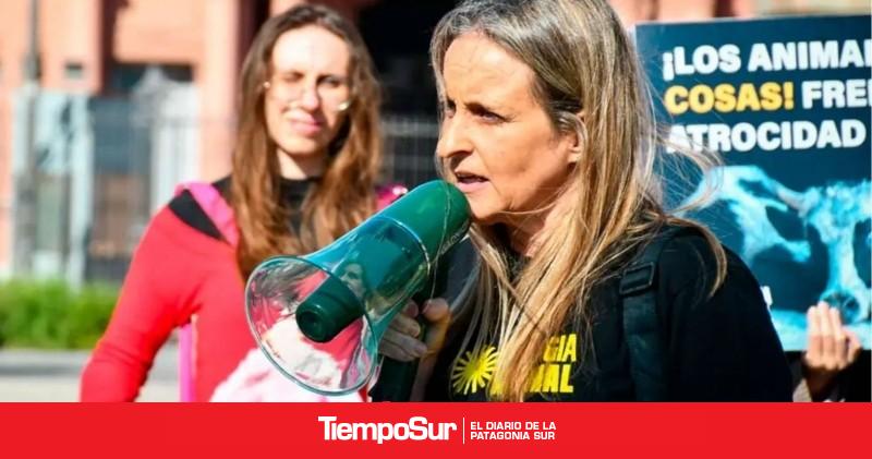 Protesta y concientización por el bienestar de los animales en el país