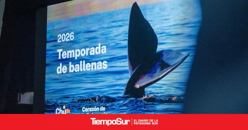 Inauguraron la Temporada de Ballenas 2026