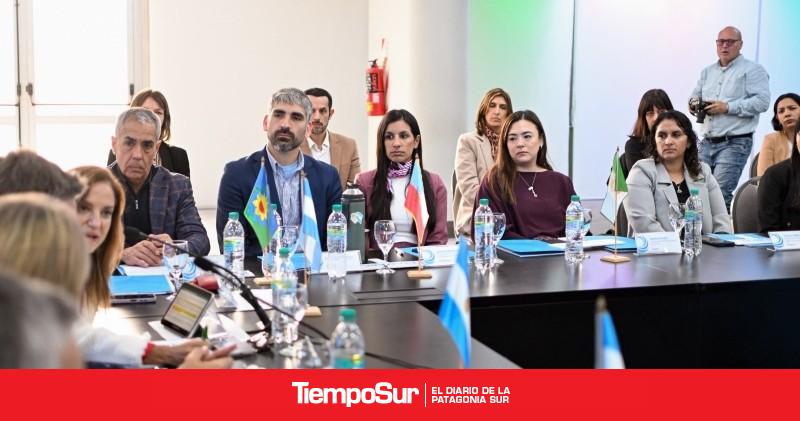 Chubut aportó su experiencia en inteligencia artificial y transparencia en el Consejo Federal