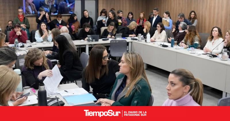 La oposición firmó un dictamen para declarar la emergencia nacional en violencia de género