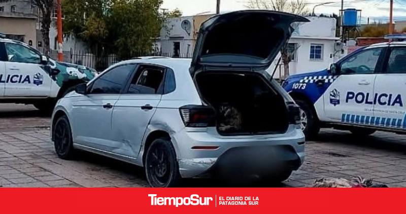 Detienen a un hombre con dos choiques muertos