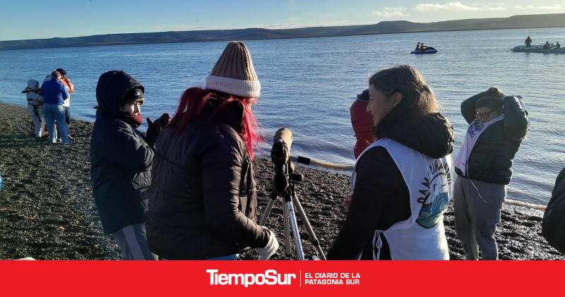Entre el Estuario y el Mar: Reimaginar una nueva relación para protegerlos