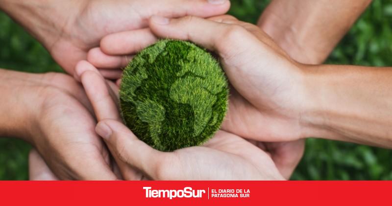 Podrían implementar la Promesa de Compromiso Ambiental en escuelas