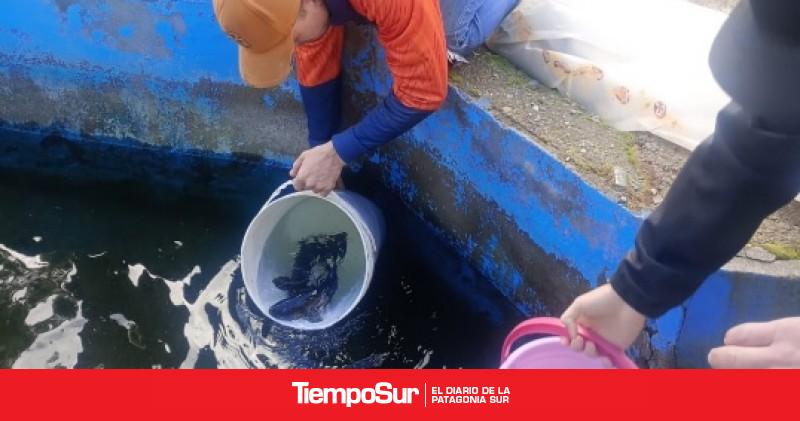 Provincia fortalece el trabajo en las pisciculturas rurales