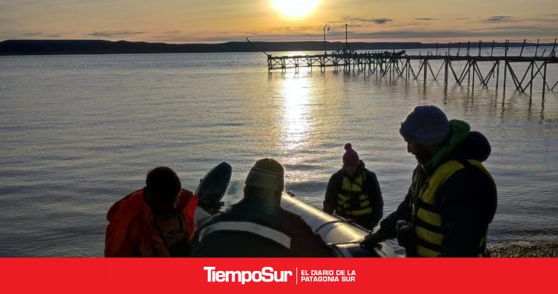 Censos simultáneos y minicensos en los estuarios santacruceños