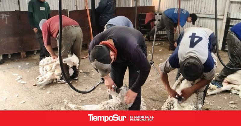 Alejandro Tirachini: Estaban especulando con una devaluación y se sobre stockearon