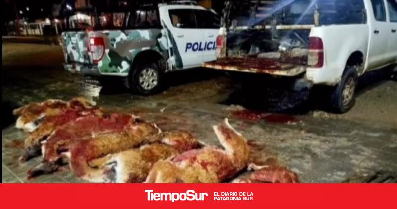 Dos detenidos por caza furtiva en zona rural