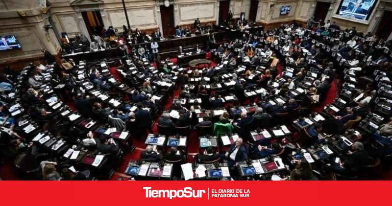 Voto dividido de los diputados santacruceños