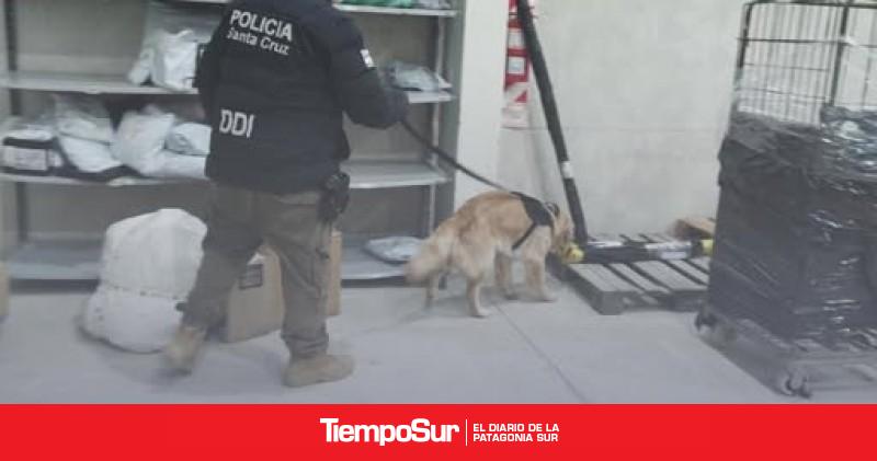 Narcocriminalidad realizó controles en empresas de paquetería