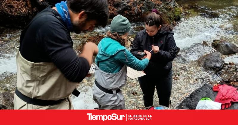 Un estudio comprobó que los incendios forestales alteraron la calidad del agua en la Patagonia