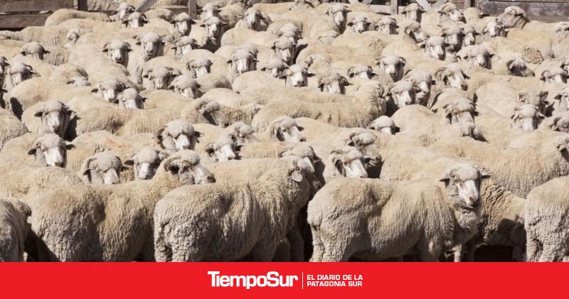 Impulso a la producción agrícola y pecuaria de la Patagonia con estatus diferenciado