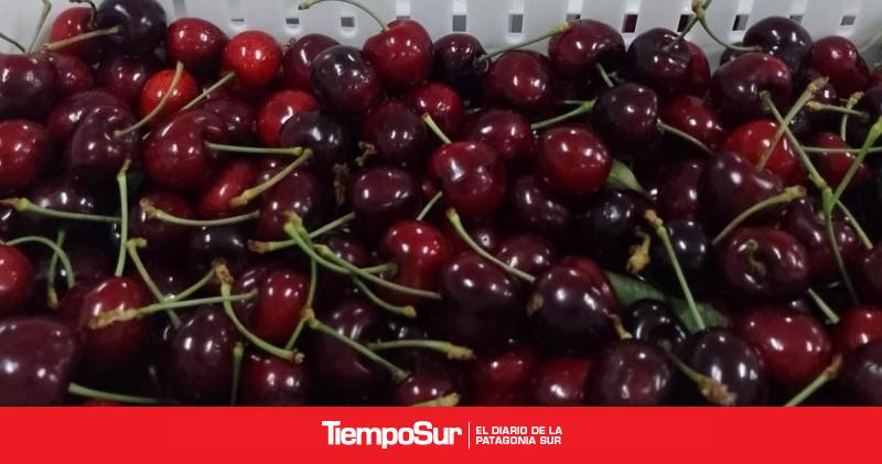Impulso a la producción agrícola y pecuaria de la Patagonia